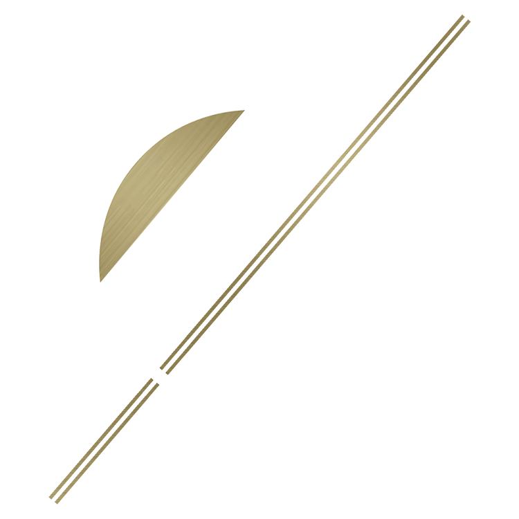 LOGO PRECIOUS STUDIO - PHOTOGRAPHE BOUDOIR OISE